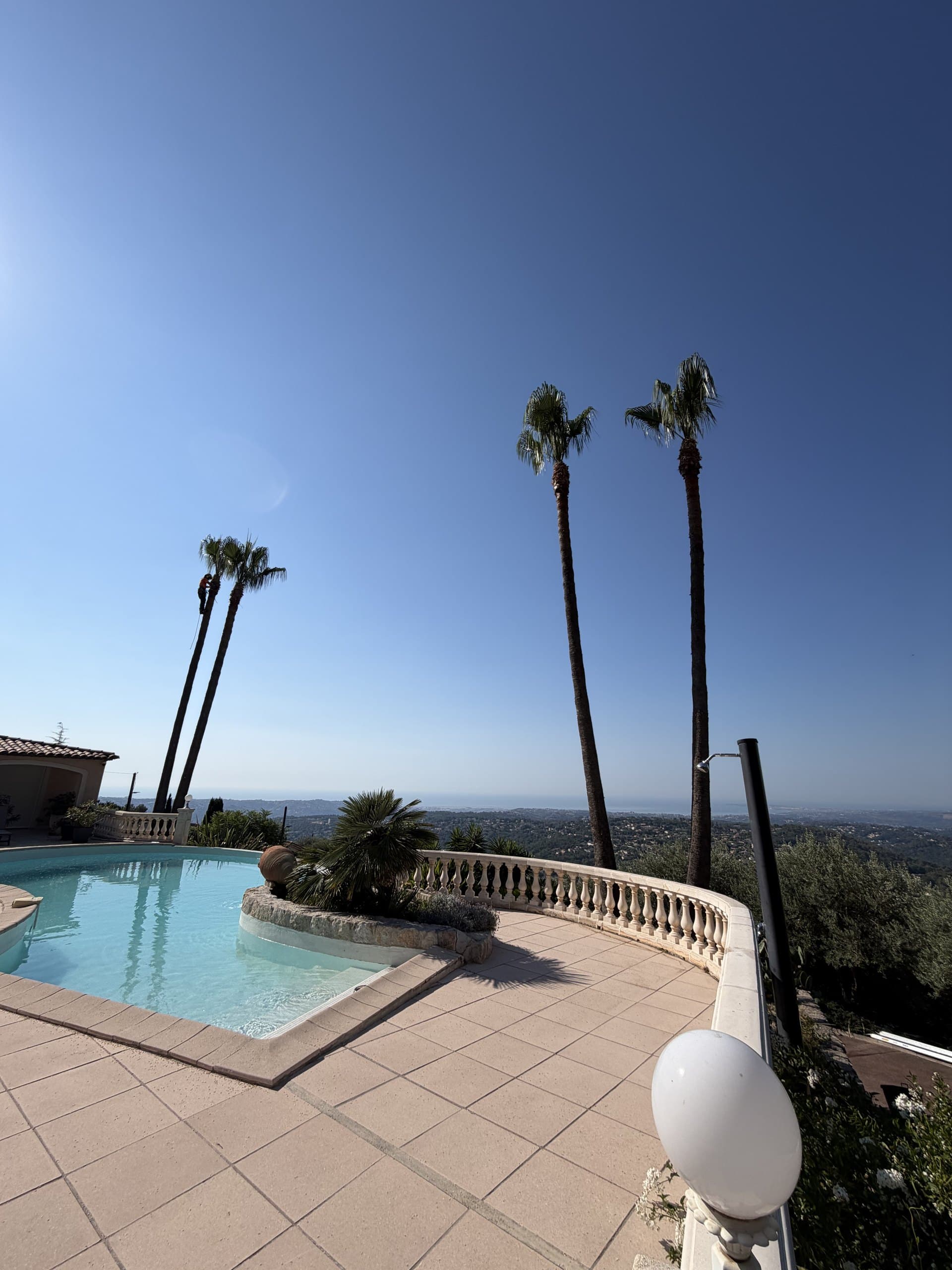 Préparer son jardin à la canicule sur la Côte d'Azur
